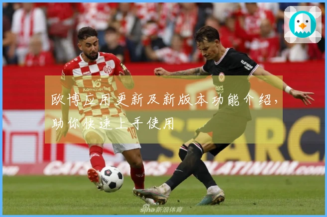 欧博应用更新及新版本功能介绍，助你快速上手使用