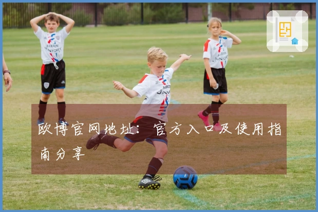欧博官网地址：官方入口及使用指南分享