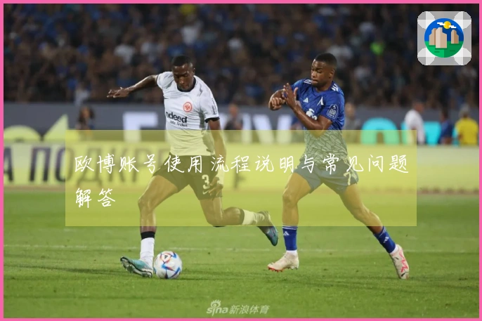 欧博账号使用流程说明与常见问题解答