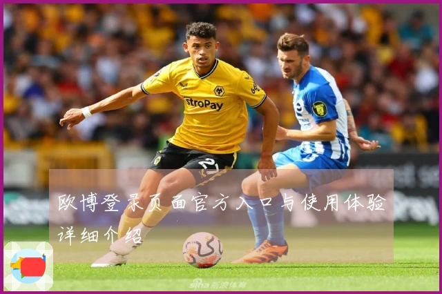 欧博登录页面官方入口与使用体验详细介绍